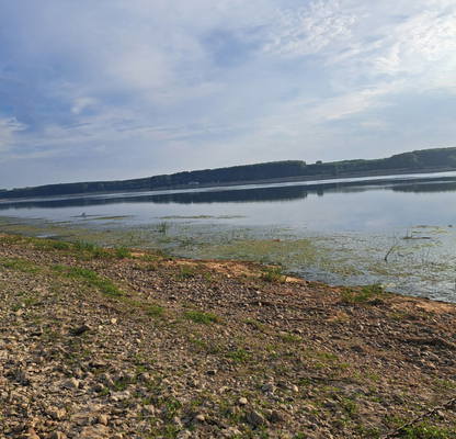 Photo 5 — Plot in Oblast Vidin, с. Кошава