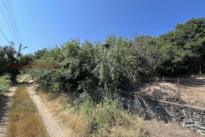 Plot in Vraca, Kostelevo