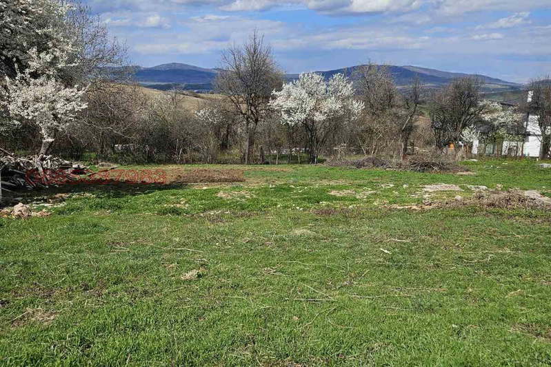 Plot in Oblast Pernik, Kralev Dol