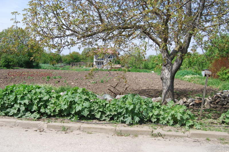 Парцел в Добрич, с. Крапец