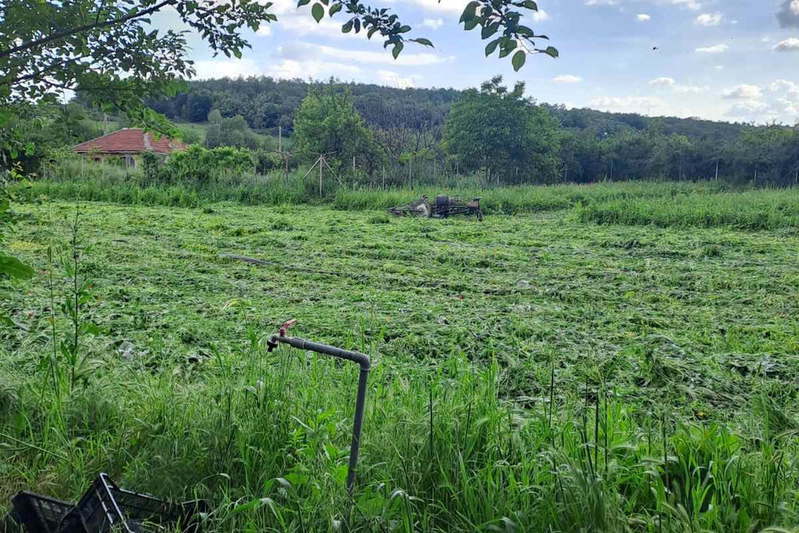 Plot in Oblast Plovdiv, Krasnovo
