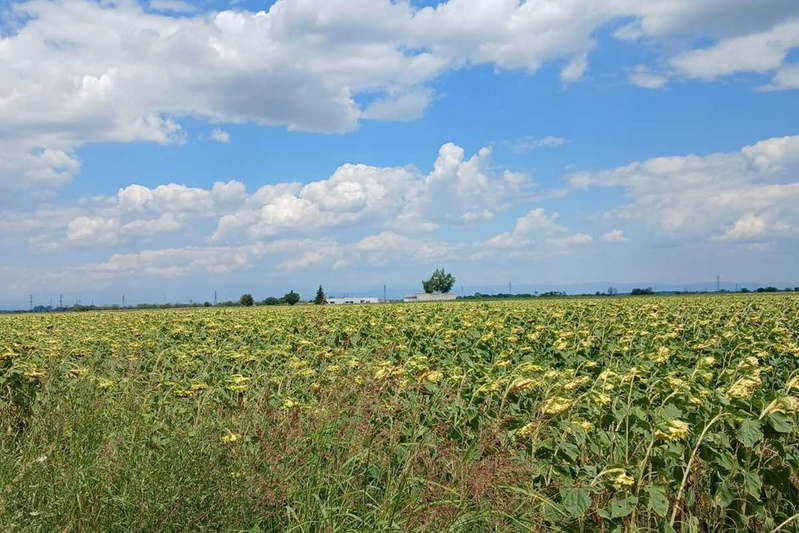 Парцел в Пловдив, с. Крумово