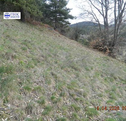 Photo 4 — Plot in Oblast Smolyan, Kutela