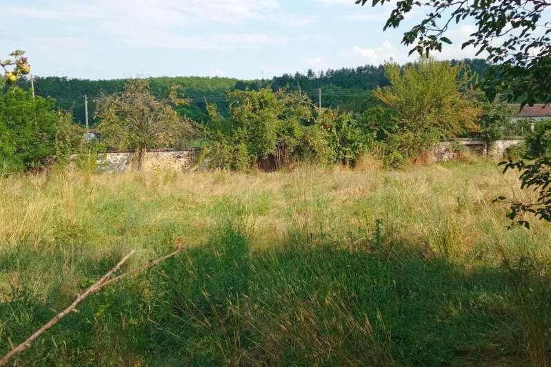 Парцел в Пловдив, с. Леново
