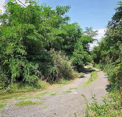 Photo 5 — Plot in Oblast Burgas, Livada