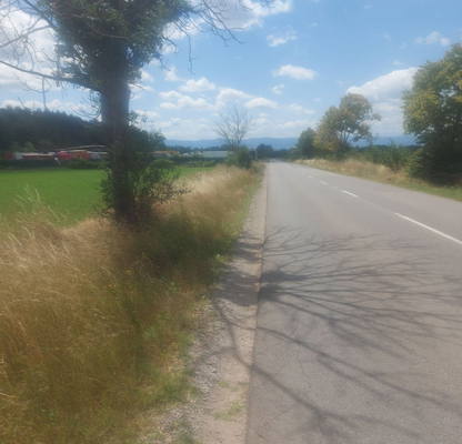 Photo 2 — Plot in Lokorsko