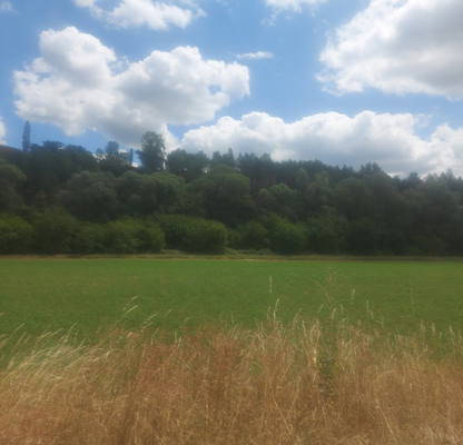 Photo 3 — Plot in Lokorsko