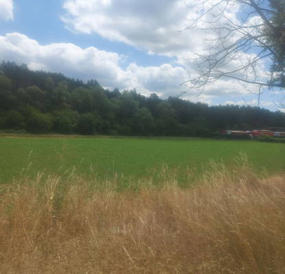 Photo 4 — Plot in Lokorsko