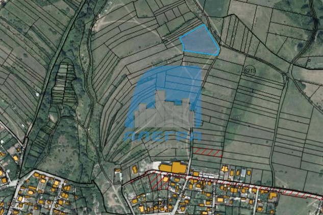 Plot in Lozen