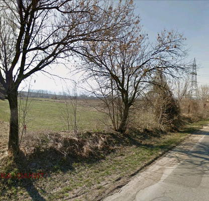 Photo 2 — Plot in Lozen