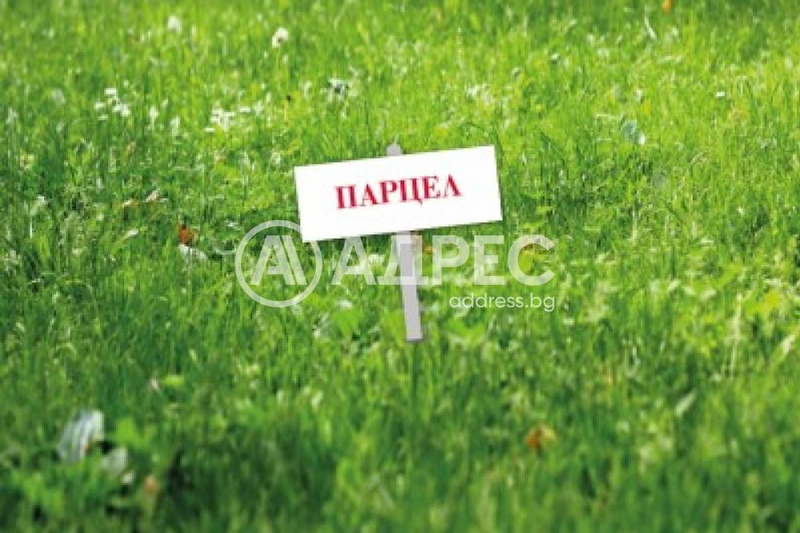 Plot in Lozen