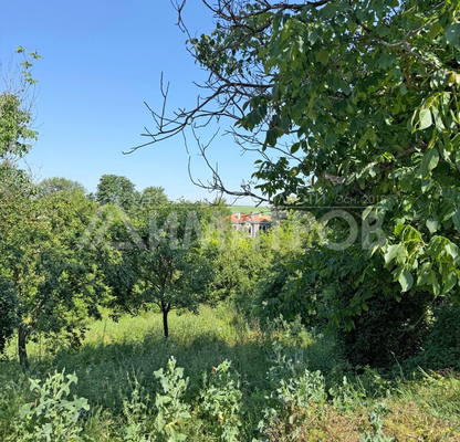 Photo 2 — Plot in Oblast Shumen, Madara