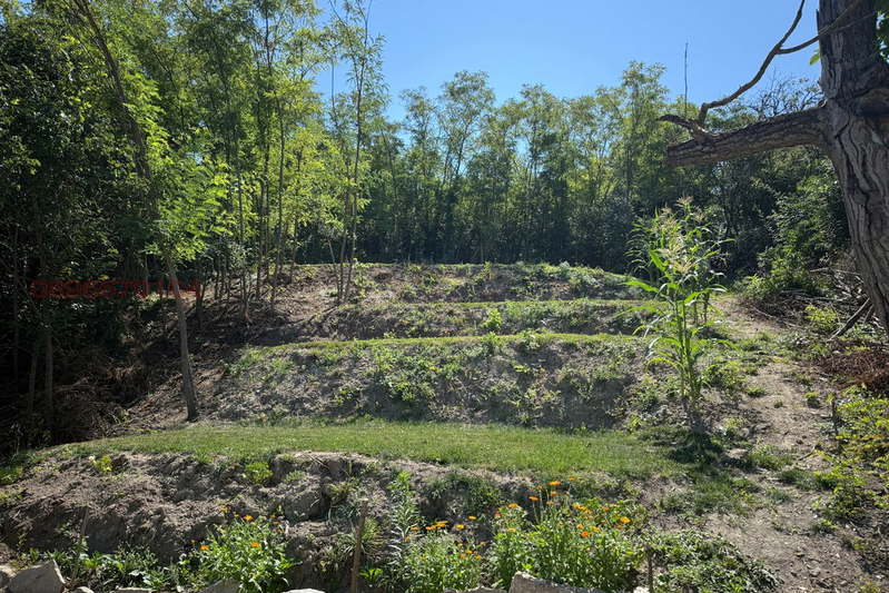 Plot in Oblast Shumen, Madara
