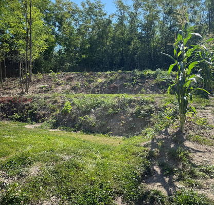Photo 4 — Plot in Oblast Shumen, Madara