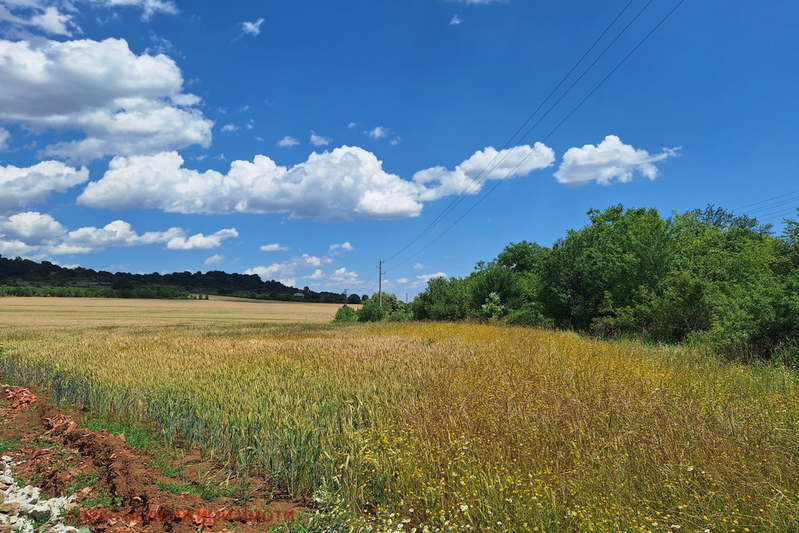 Plot in Oblast Stara Zagora, Malka Vereya