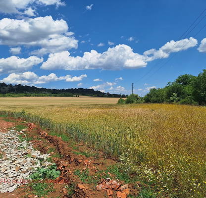 Photo 3 — Plot in Oblast Stara Zagora, Malka Vereya