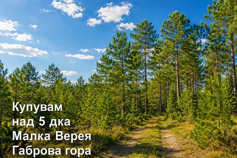 Парцел в Стара Загора, с. Малка Верея