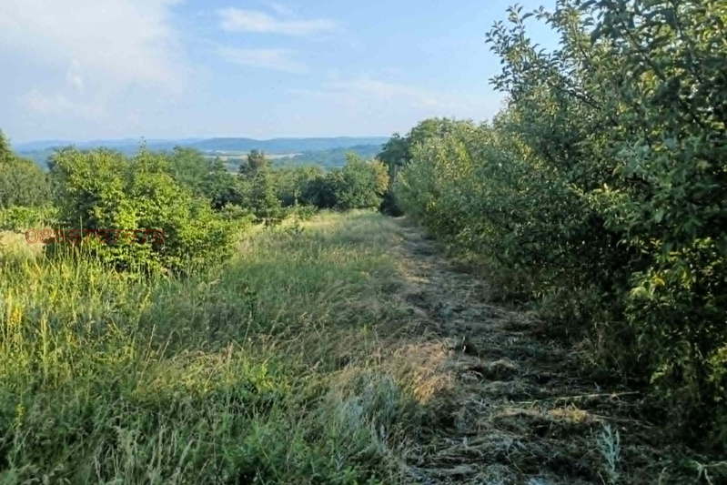 Парцел в Габрово, с. Маноя