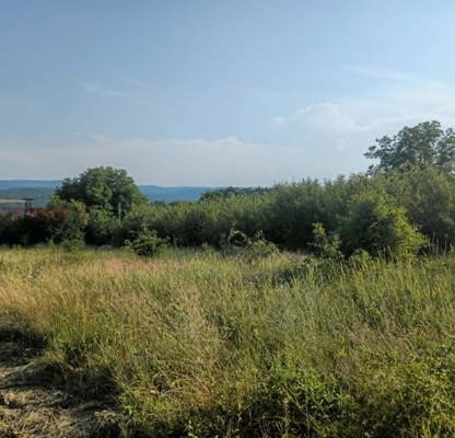Photo 2 — Plot in Gabrovo, Manoya
