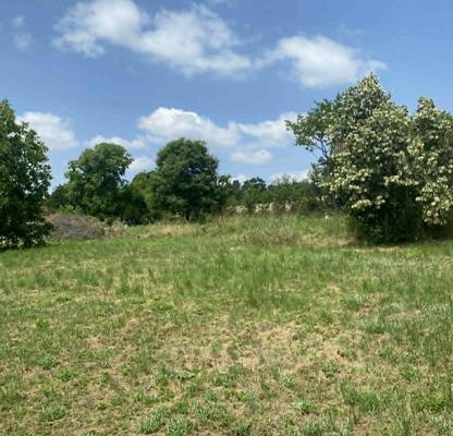 Photo 2 — Plot in Oblast Gabrovo, Manoya