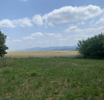 Photo 4 — Plot in Oblast Gabrovo, Manoya