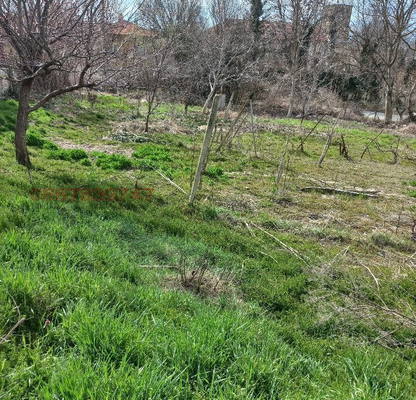 Photo 2 — Plot in Oblast Shumen, Marash