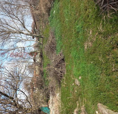 Photo 3 — Plot in Oblast Shumen, Marash