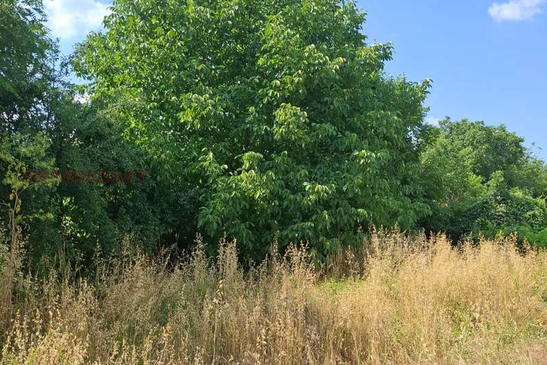 Plot in Pazardjik, Menenkiovo