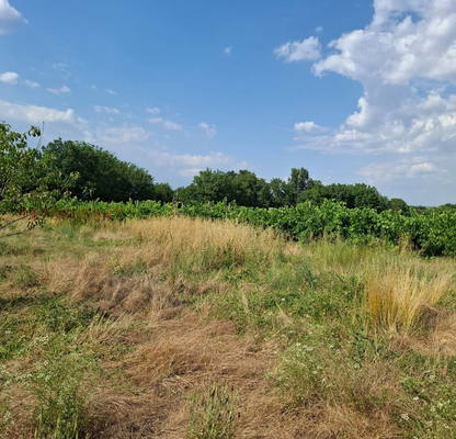 Photo 2 — Plot in Pazardjik, Menenkiovo
