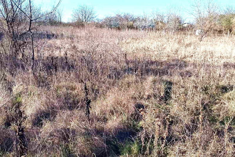 Plot in Oblast Dobrich, Metodievo