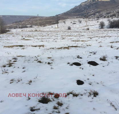 Photo 2 — Plot in Oblast Pleven, Muselievo