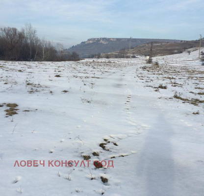 Photo 4 — Plot in Oblast Pleven, Muselievo