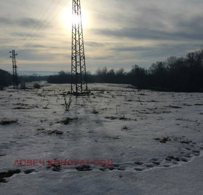 Photo 5 — Plot in Oblast Pleven, Muselievo