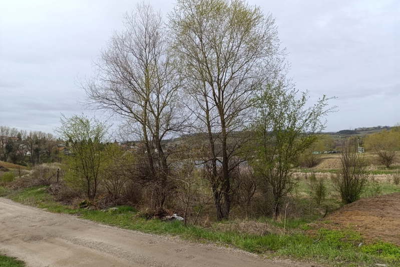 Парцел в с. Мърчаево