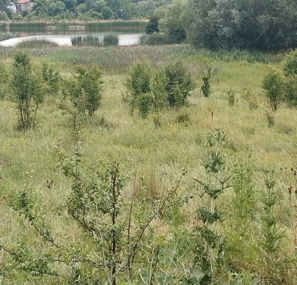 Снимка 2 — Парцел в с. Мърчаево