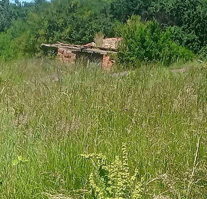 Снимка 4 — Парцел в с. Мърчаево