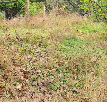 Photo 4 — Plot in Oblast Kyustendil, Nevestino