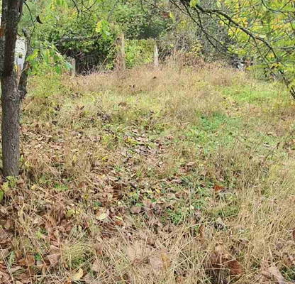Photo 5 — Plot in Oblast Kyustendil, Nevestino