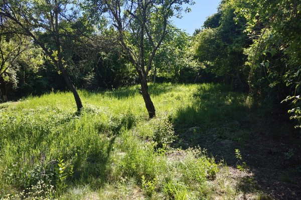 Plot in Oblast Pernik, Nikolaevo