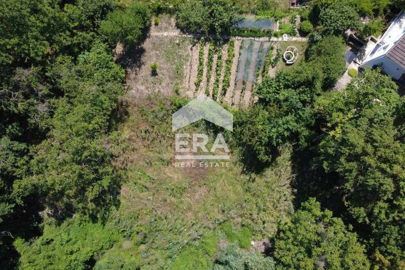 Plot in Varna, Osenovo