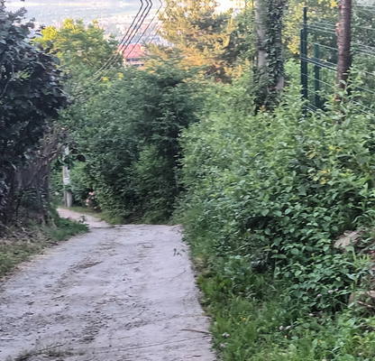 Photo 5 — Plot in Pancharevo