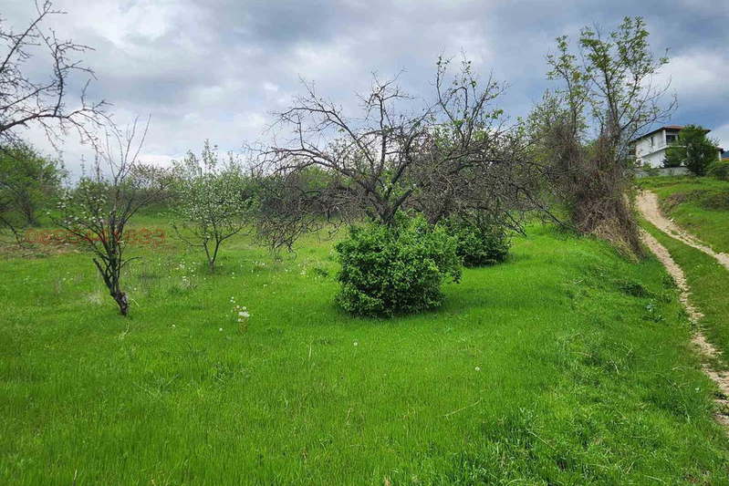 Plot in Oblast Smolyan, Pavelsko