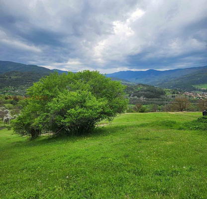 Photo 3 — Plot in Oblast Smolyan, Pavelsko