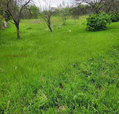 Photo 4 — Plot in Oblast Smolyan, Pavelsko