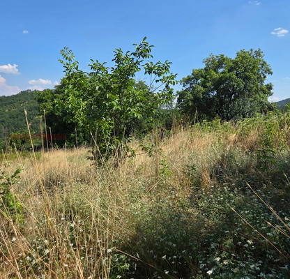 Photo 3 — Plot in Oblast Kyrdjali, Pchelarovo