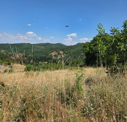 Photo 4 — Plot in Oblast Kyrdjali, Pchelarovo