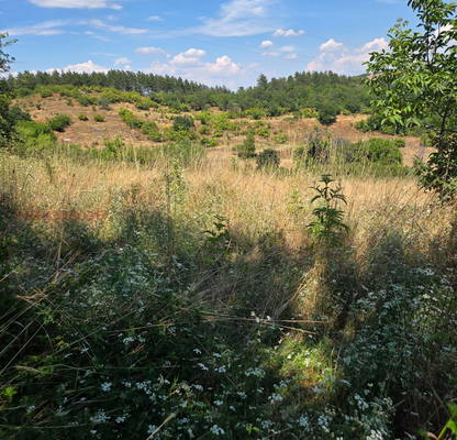 Photo 5 — Plot in Oblast Kyrdjali, Pchelarovo