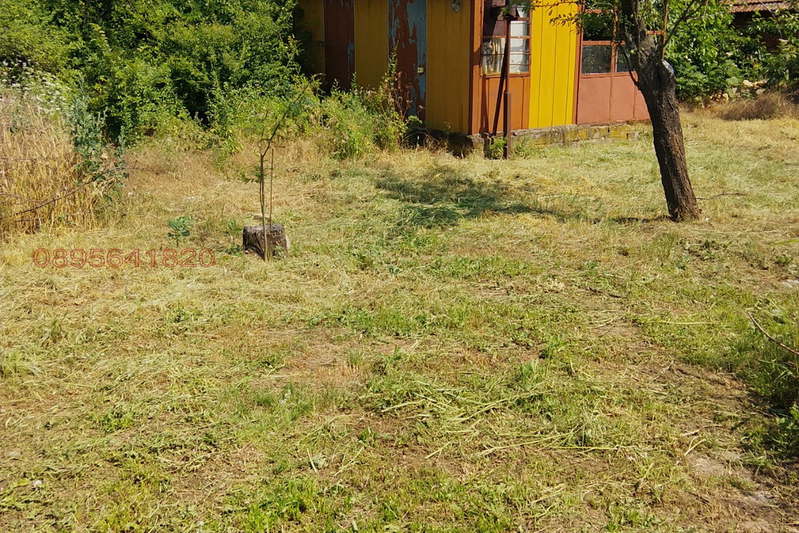 Plot in Oblast Pleven, Pelishat