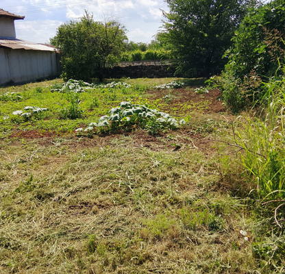 Photo 2 — Plot in Oblast Pleven, Pelishat