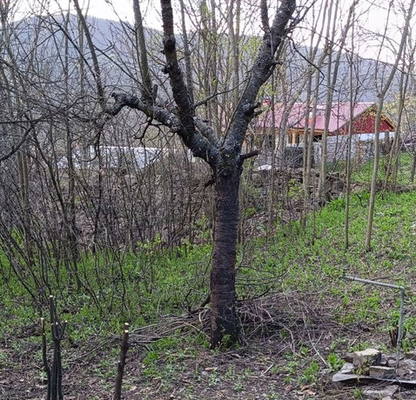 Снимка 5 — Парцел в София, с. Петрич